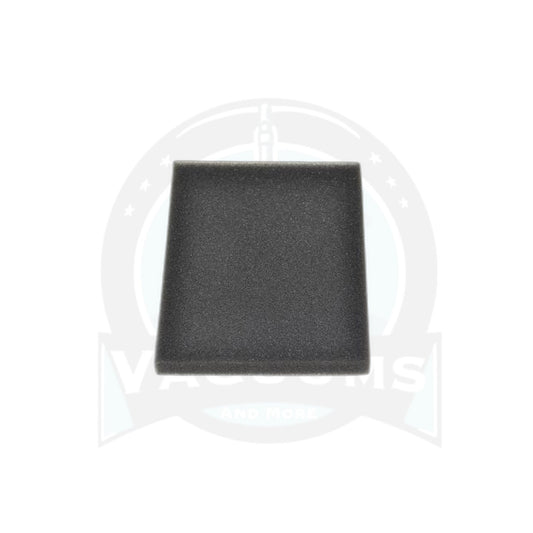 Bissell Secondary Filter - 5770 Healthy Home - Bissell