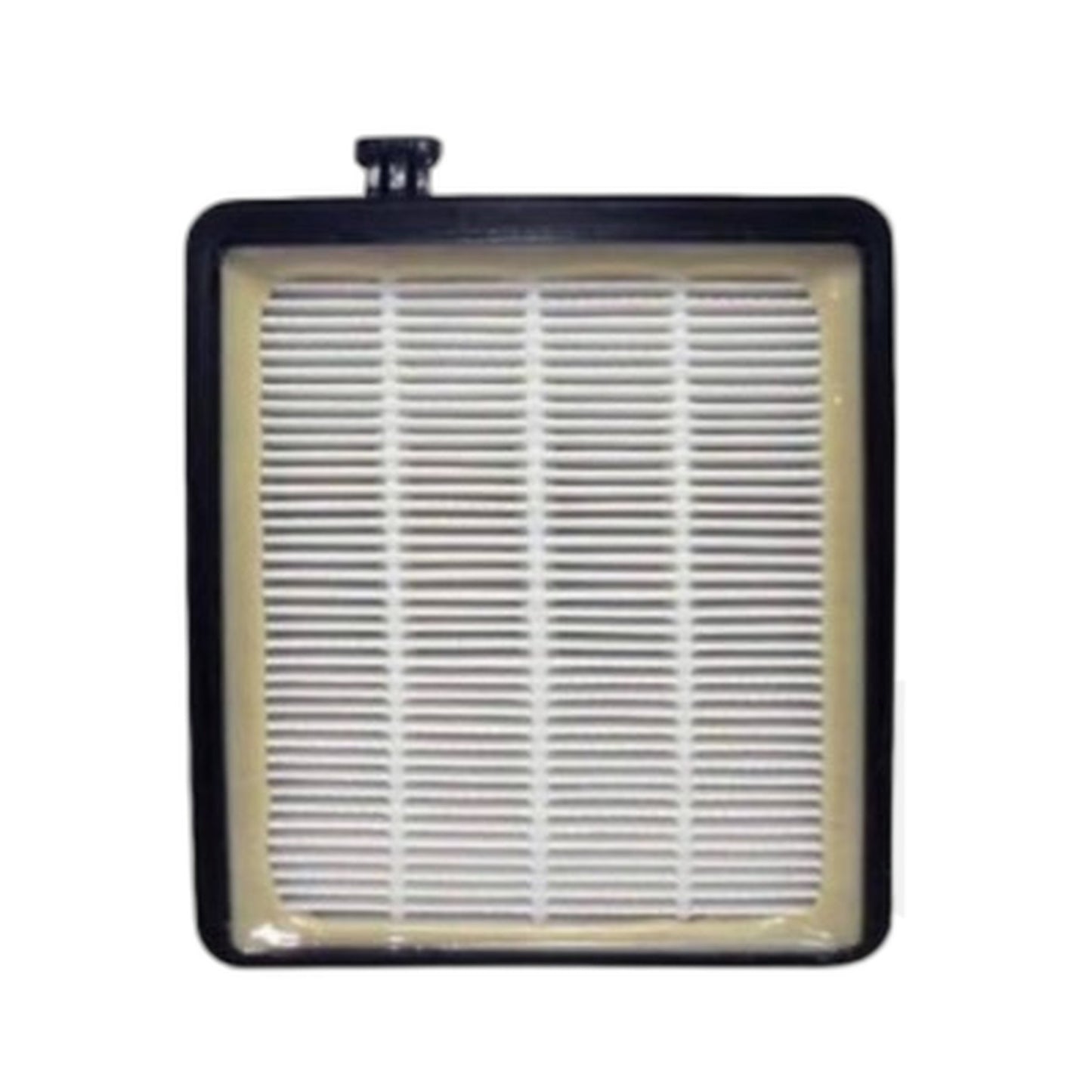 Royal F45 Pleated Filter for Royal Vacuum Cleaners