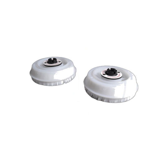 Koblenz/Regina Floor Machine Shampoo Brushes - 6 Inch (Pair)