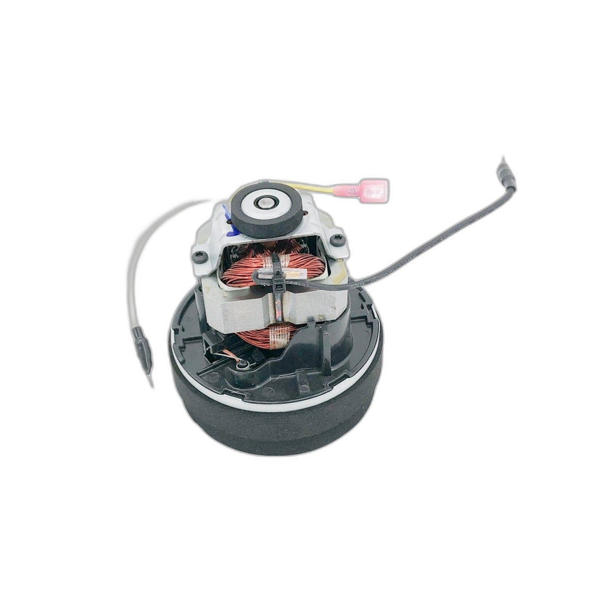 Riccar Brilliance / Simplicity Synchrony Clean Air Motor Assembly