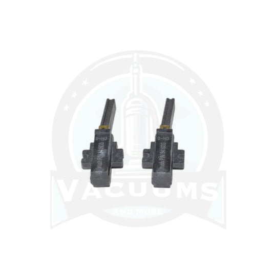 ProTeam Carbon Brush - 2 Pack - Lamb Wolong, PRO6, PB10 - ProTeam
