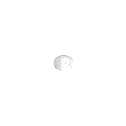 Dyson Lid Pad Filter