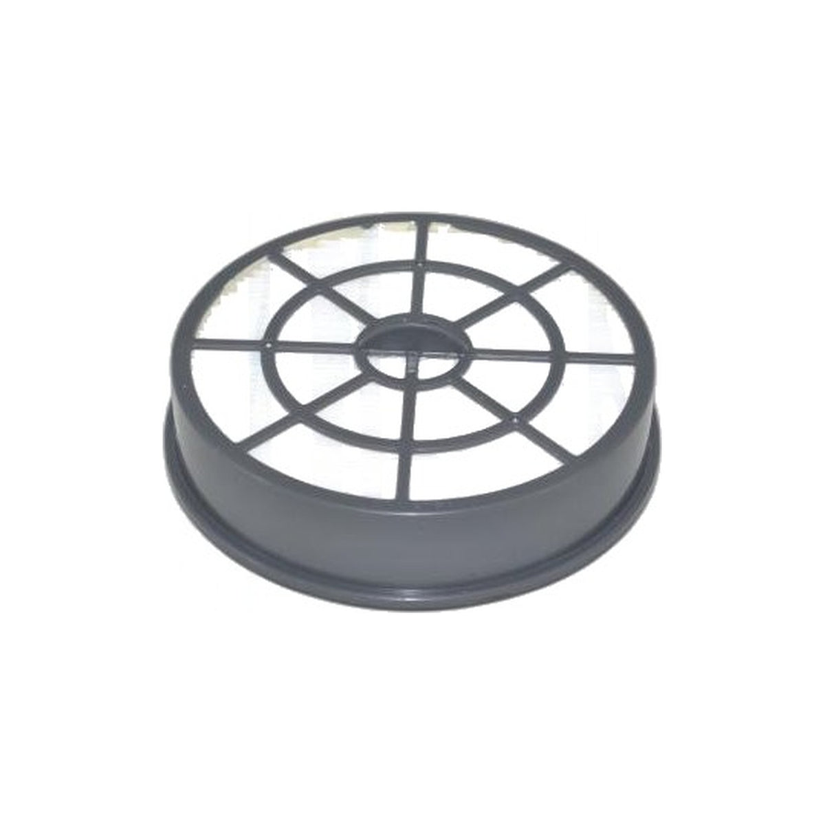 Vacuum Filter Replacement