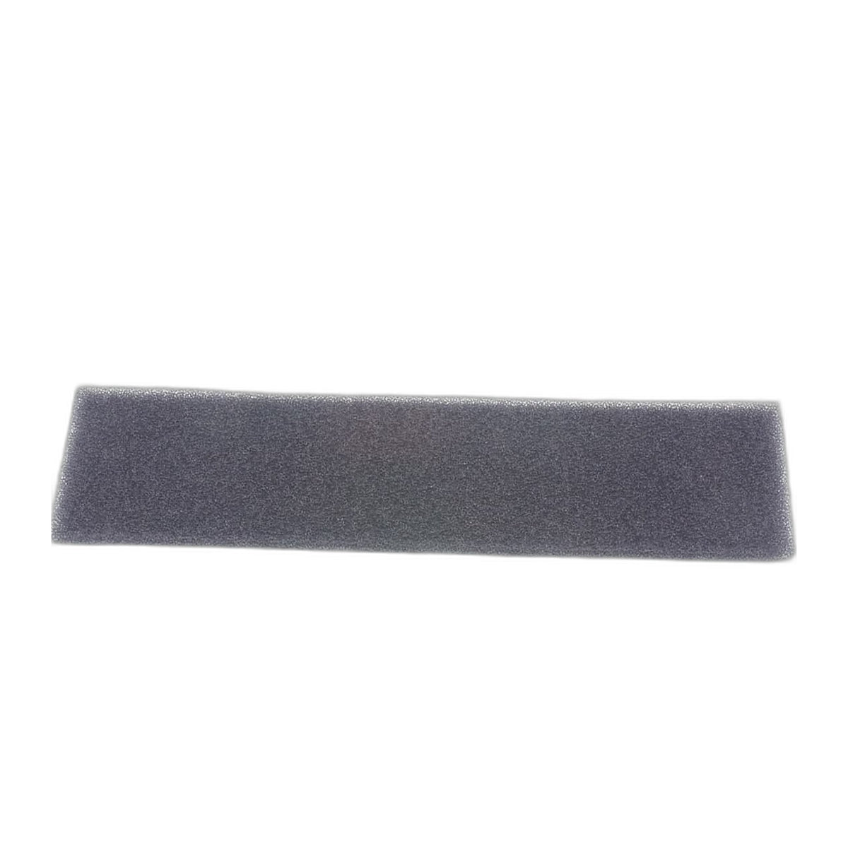 Riccar Vibrance Foam Post Filter